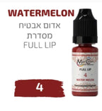 צבע פיגמנט לאיפור קבוע לשפתיים גוונים אדומים מסדרת full lip מספר 4 magic cosmetics