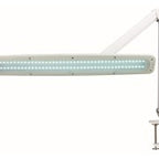 מנורת שולחן LED דקורטיבית לבניית ציפורניים / מניקור ג׳ל וקוסמטיקה
